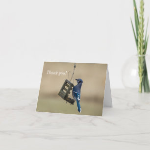 Tarjeta De Agradecimiento Swinging Blue Jay Thank You Card