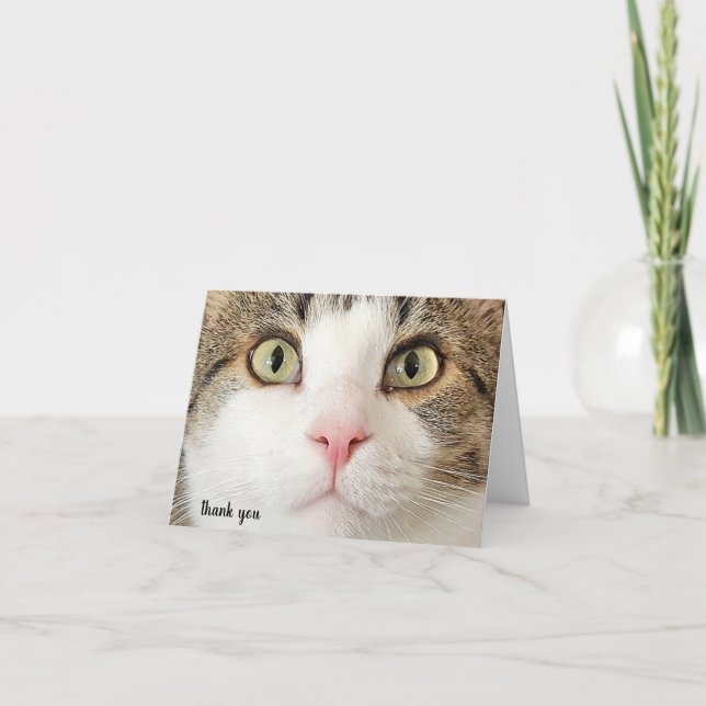 Tarjeta De Agradecimiento tabby cat face gracias (Anverso)