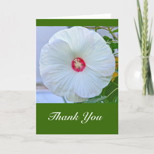 Tarjeta De Agradecimiento Tarjeta, "Gracias" Hibiscus Blanco