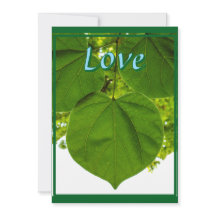 Te amo como los árboles aman el sol