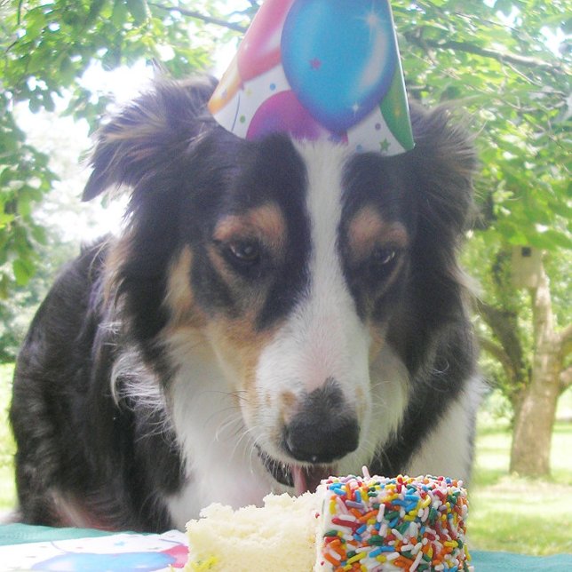 Tarjeta De Agradecimiento "¡Tener tu pastel y comerlo también!" (Subido por el creador)