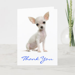 Tarjeta De Agradecimiento Thank You Chihuahua Puppy Dog Greeting Card