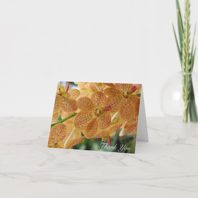 Tarjeta De Agradecimiento Thank You  Dotted Orchid (Blank Inside) (Anverso)