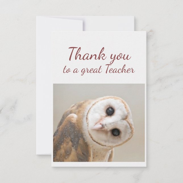 Tarjeta De Agradecimiento  Thank You Fun Curious Barn Owl Bird Teacher (Anverso)