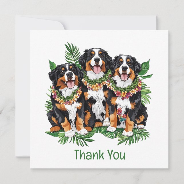 Tarjeta De Agradecimiento Thank You Hawaiian Bernese Mountain Dogs (Anverso)