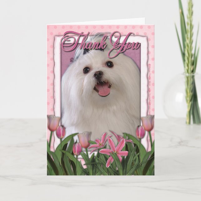 Tarjeta De Agradecimiento Thank You - Pink Tulips - Maltese (Anverso)