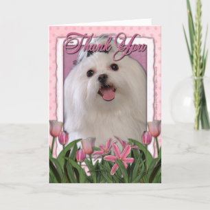 Tarjeta De Agradecimiento Thank You - Pink Tulips - Maltese