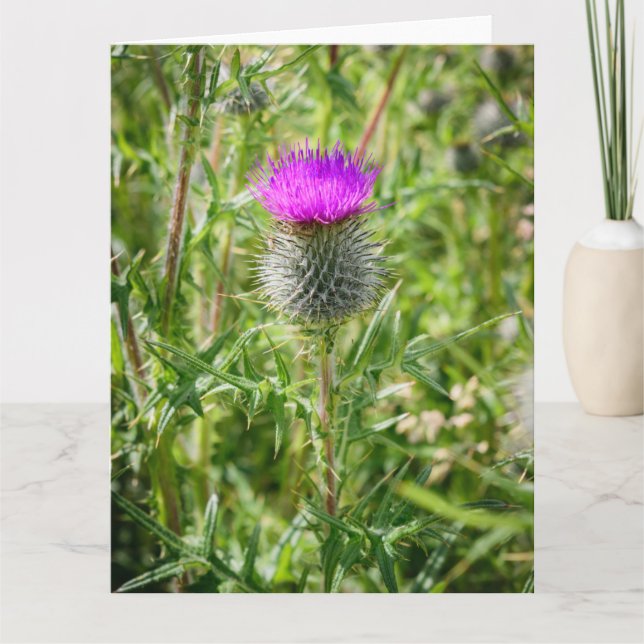 Tarjeta De Agradecimiento Thistle escocés (Anverso)