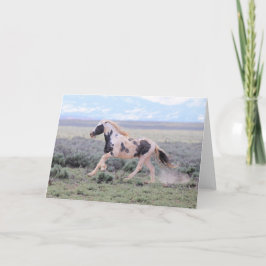 Tarjeta De Agradecimiento Thor of McCullough Peaks Greeting Card