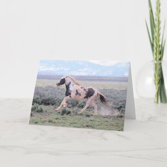 Tarjeta De Agradecimiento Thor of McCullough Peaks Greeting Card (Anverso)