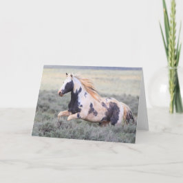 Tarjeta De Agradecimiento Thor of McCullough Peaks Greeting Card