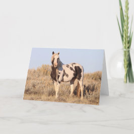 Tarjeta De Agradecimiento Thor of McCullough Peaks Greeting Card