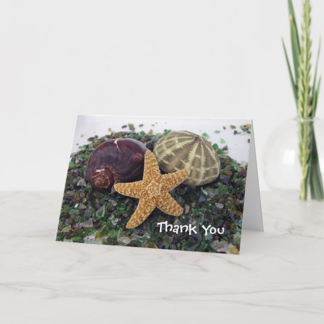 Tarjeta De Agradecimiento three shells, Thank You (Anverso)