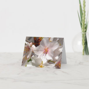 Tarjeta De Agradecimiento Tiempo de primavera