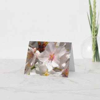 Tarjeta De Agradecimiento Tiempo de primavera