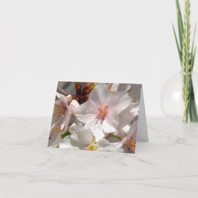Tarjeta De Agradecimiento Tiempo de primavera (Anverso)