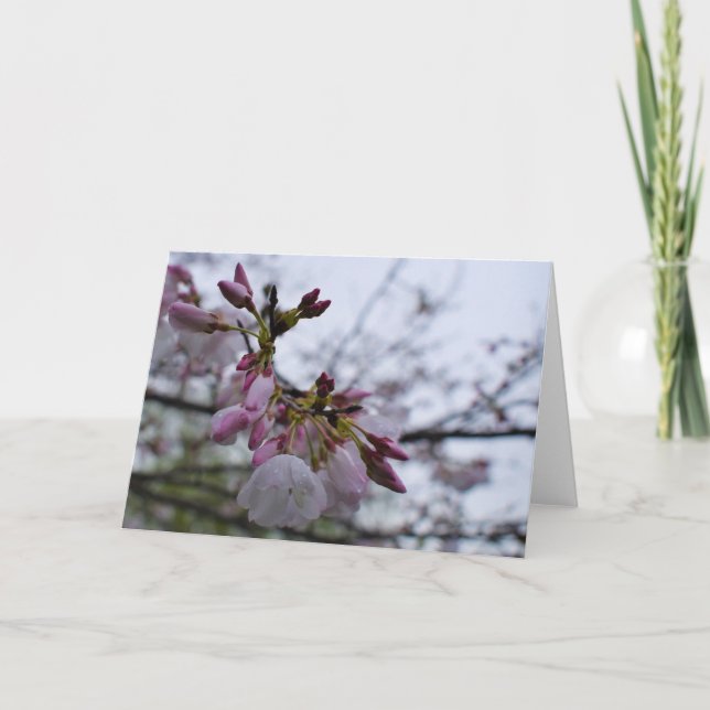 Tarjeta De Agradecimiento Tierra Verde (Anverso)