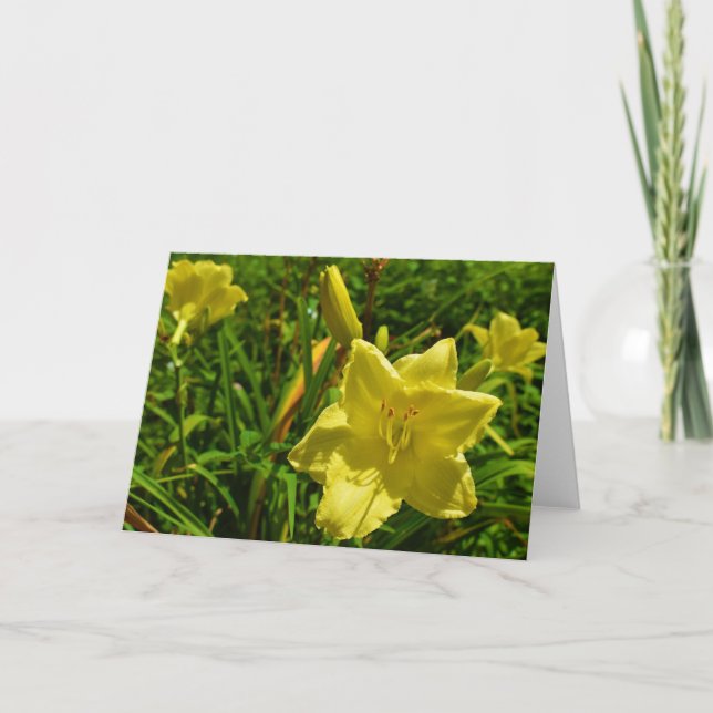 Tarjeta De Agradecimiento Tierra Verde (Anverso)