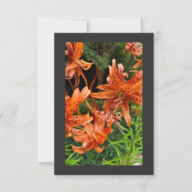 Tarjeta De Agradecimiento Tiger Lily (Anverso)