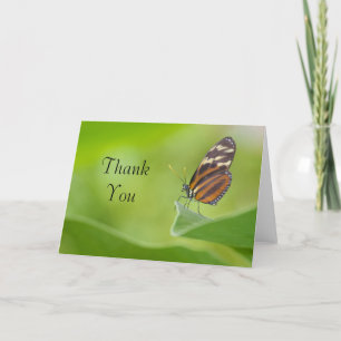 Tarjeta De Agradecimiento Tiger Longwing butterfly