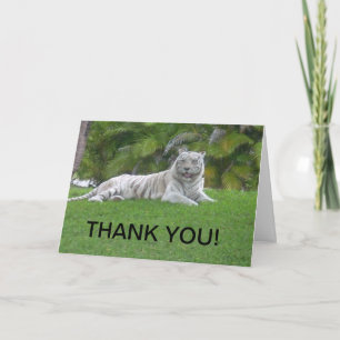 Tarjeta De Agradecimiento Tigre Blanco Descansando en Luz de Pradera Suave