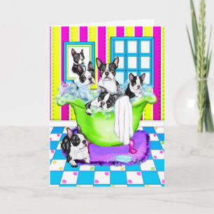 Tarjeta De Agradecimiento Tina de Boston Terrier por completo
