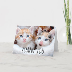 Tarjeta De Agradecimiento Tipografía caprichosa de los gatitos