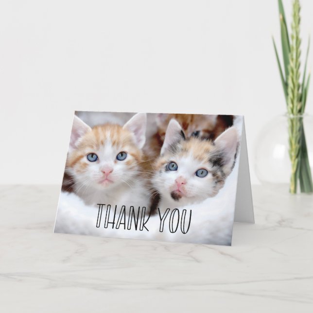 Tarjeta De Agradecimiento Tipografía caprichosa de los gatitos (Anverso)