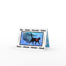 TNR CAT Rescue Trampa Neutro Retorno Vacaciones XM
