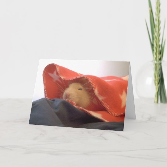 Tarjeta De Agradecimiento Toda la Rata Americana (Anverso)