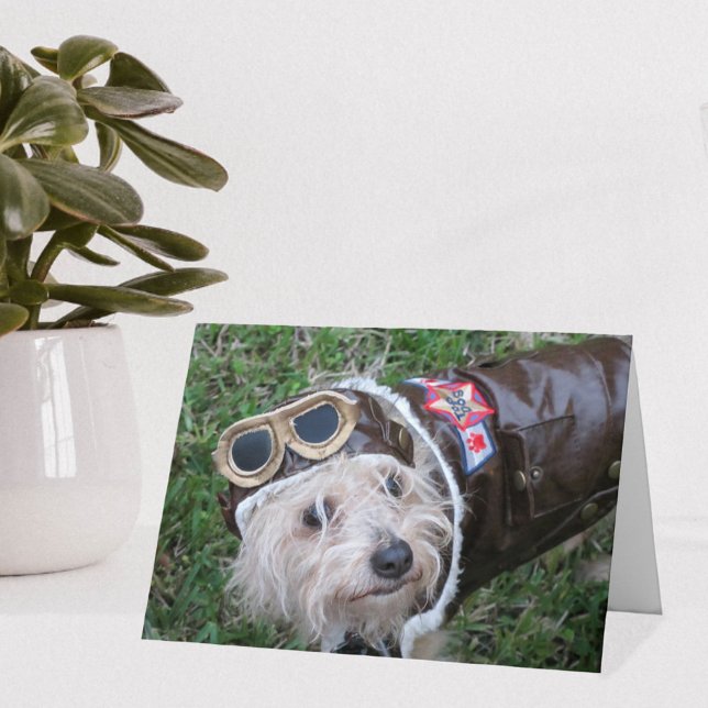 Tarjeta De Agradecimiento Top Dog in Aviator's Costume Note Card (Subido por el creador)