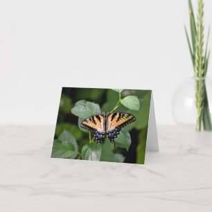 Tarjeta De Agradecimiento Toque blanco de mariposa de cola de torta.