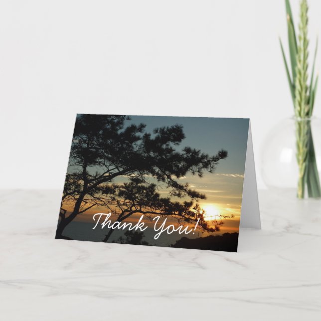 Tarjeta De Agradecimiento Torrey Pine Sunset I California Landscape (Anverso)