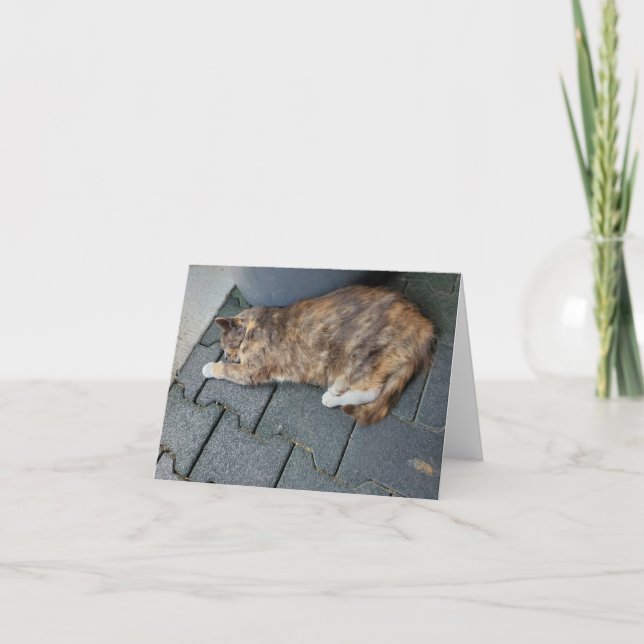 Tarjeta De Agradecimiento Tortie (Anverso)