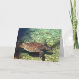 Tarjeta De Agradecimiento Tortuga de mar de Kohala