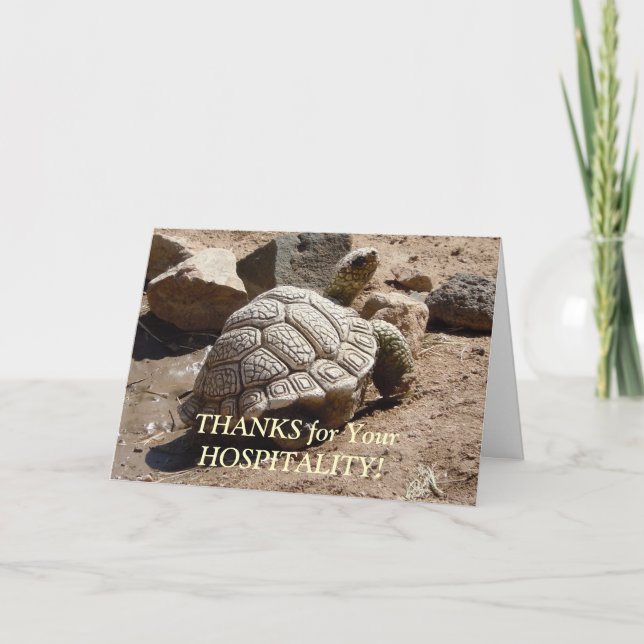 Tarjeta De Agradecimiento Tortuga del desierto - Hospitalidad Gracias (Anverso)