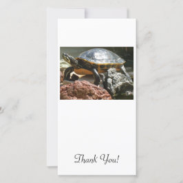 Tarjeta De Agradecimiento Tortuga en acuario