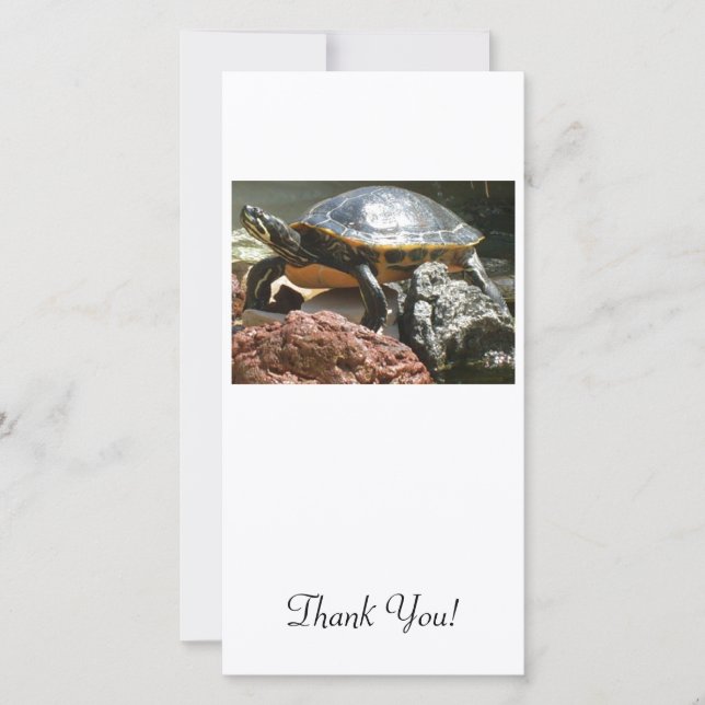Tarjeta De Agradecimiento Tortuga en acuario (Anverso)