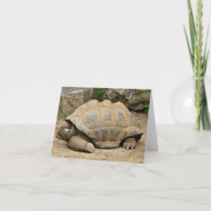 Tarjeta De Agradecimiento Tortuga sonriente