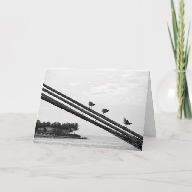 Tarjeta De Agradecimiento Tres Aves Pequeñas ~ Vacaciones (Anverso)