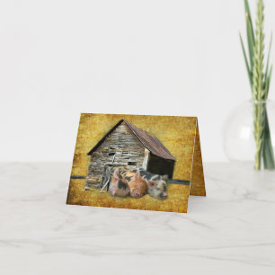 Tarjeta De Agradecimiento Tres Cerditos En El Rústico Barn Snoozing