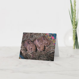 Tarjeta De Agradecimiento Tres en una fila 