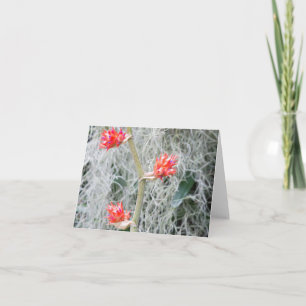 Tarjeta De Agradecimiento tres flores de bromelia en tallo