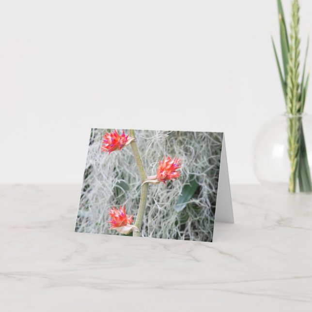 Tarjeta De Agradecimiento tres flores de bromelia en tallo (Anverso)