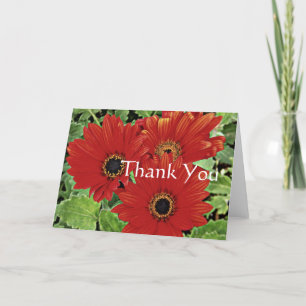 Tarjeta De Agradecimiento Tres flores mientras florecen en rojo, Gracias.