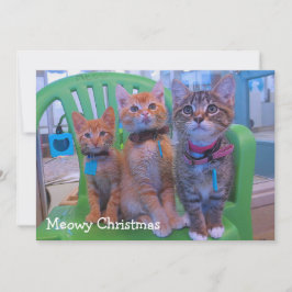 Tarjeta De Agradecimiento Tres gatitos Meowy
