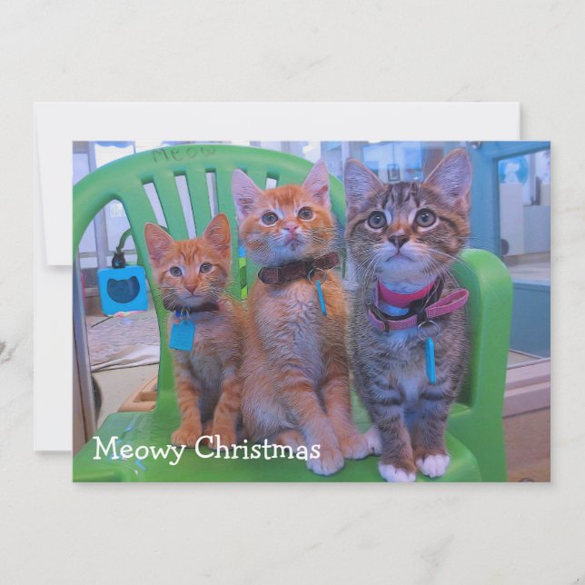 Tarjeta De Agradecimiento Tres gatitos Meowy (Anverso)