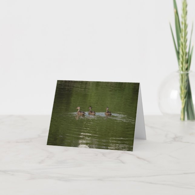 Tarjeta De Agradecimiento Trío de Patos (Anverso)