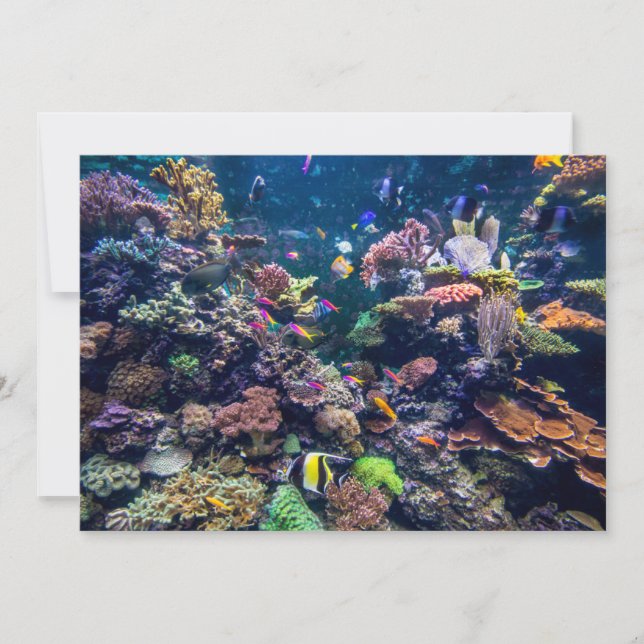 Tarjeta De Agradecimiento Tropical Beaches | Underwater Coral Reef (Anverso)