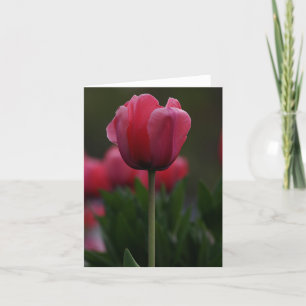 Tarjeta De Agradecimiento Tulip rosa